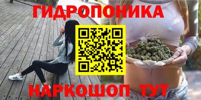 дмт Будённовск