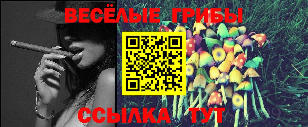 Щёкино  Галлюциногенные грибы Psilocybine cubensis  Вход с VPN  Псилоцибиновые грибы Magic Shrooms 